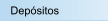 Depósitos